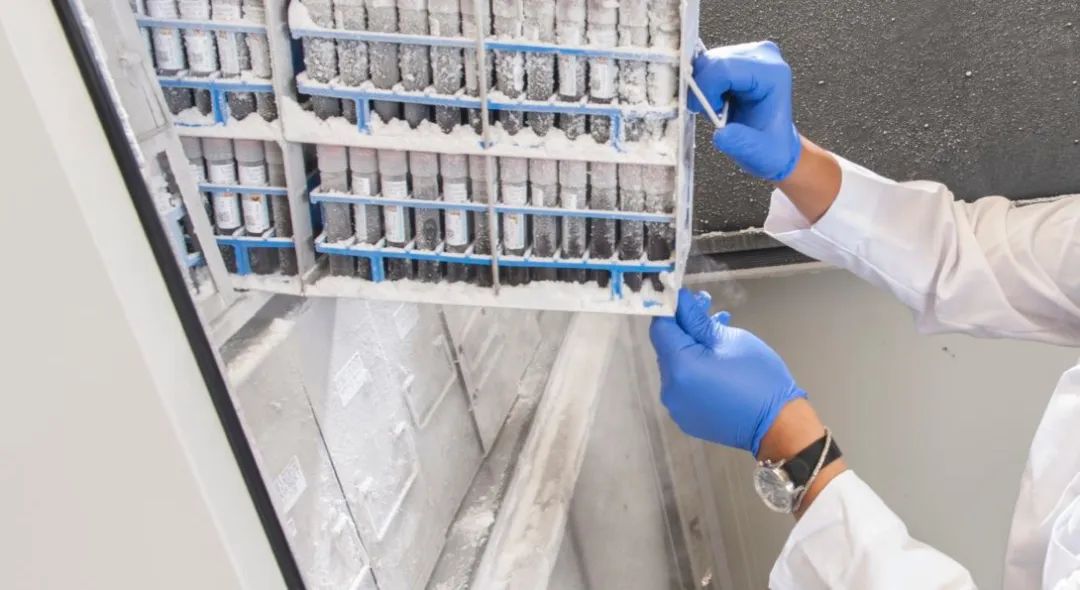 -ultra-low temperature freezer application