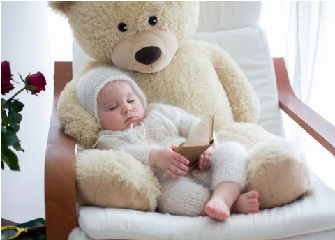 Life Size Teddy Bear