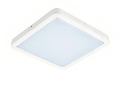 CPD4-L LED Marine Ceiling Light