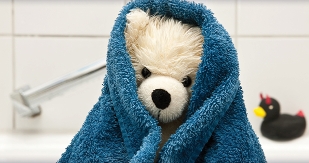 Clean Stuffed Animals