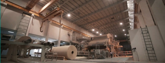 Manufacturing Process of Toilet Paper