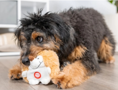 Plush Toys Designed for Pets