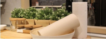 Bamboo Kitchen Paper Towel