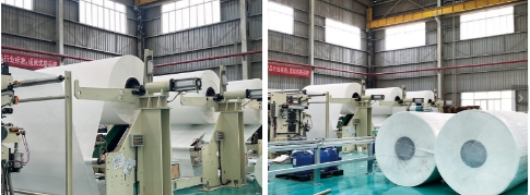 production of bamboo tissue