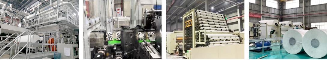 Advacned Manufacturing Equipment for Bamboo Toilet Paper