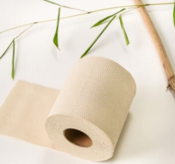 Bamboo Toilet Paper