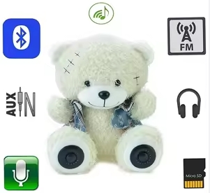 Smart Custom Teddy Bear