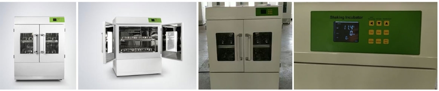 Vertical Shaking Incubator display