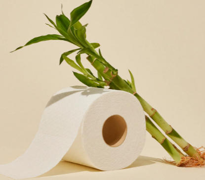 bamboo toilet paper towel