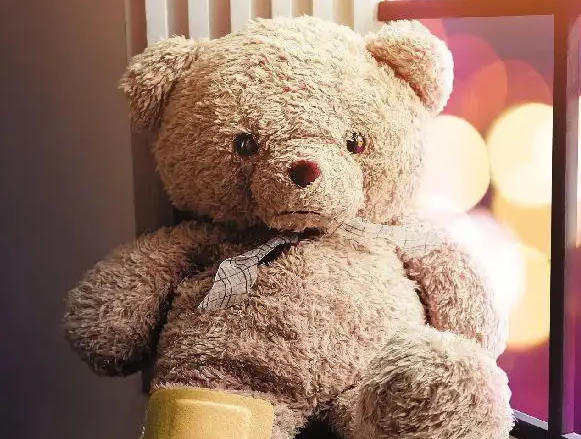 Weighted Stuffed Animal