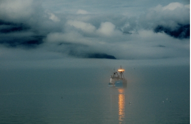Marine Navigation Lights in Fog Environment