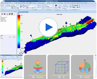 Reservoir Simulation Software Display