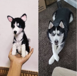 Custom a Pet Stuffed Dog from a Photo