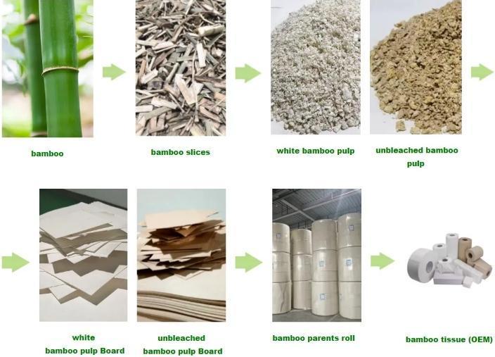 Bamboo Pulping Process