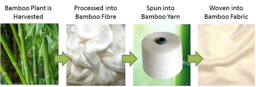 Bamboo Pulping