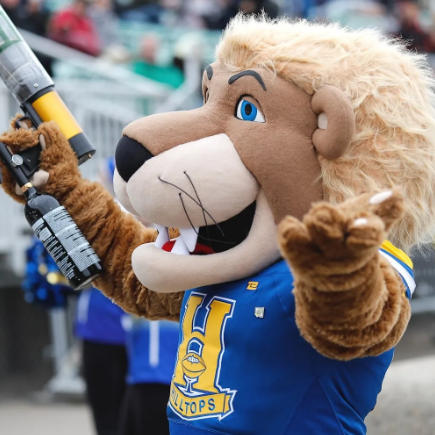 Custom Mascots for Sports Branding