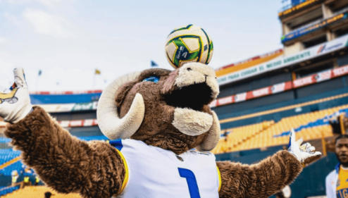 Sports Team Mascots