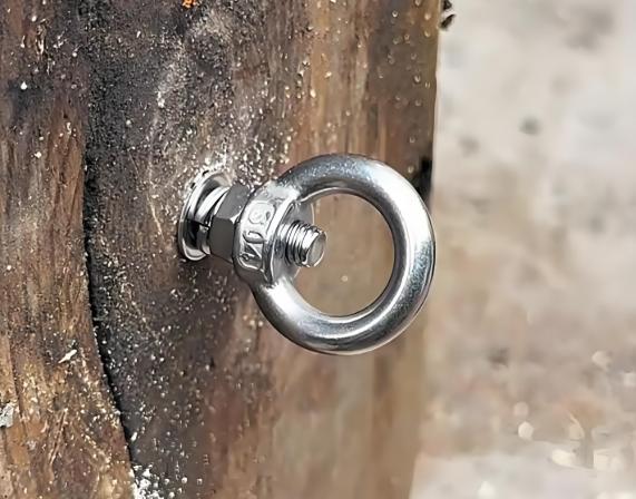 screw an eye bolt